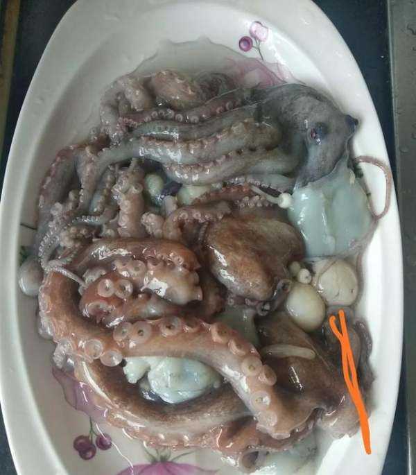海鮮爆頭是什么東西,海邊有些漁民吃八爪魚(yú)動(dòng)不動(dòng)就是爆頭的圖5