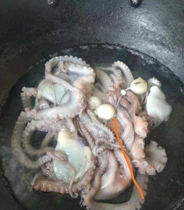 海鮮爆頭是什么東西,海邊有些漁民吃八爪魚(yú)動(dòng)不動(dòng)就是爆頭的圖7