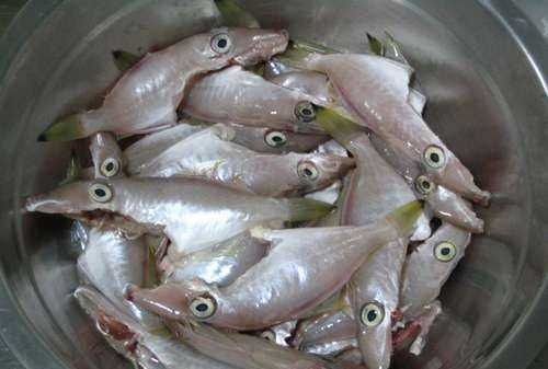 殺剝皮魚(yú)的時(shí)候頭要去掉嗎