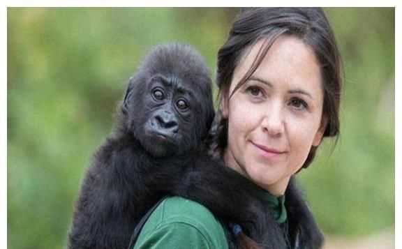 人類(lèi)從動(dòng)物身上得到了哪些啟發(fā)有什么發(fā)明的