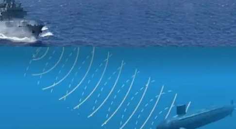 人們從哪種動(dòng)物身上得到了啟示發(fā)明了什么,人們從什么動(dòng)物身上得到了啟示發(fā)明了什么圖4