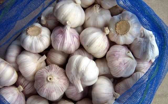 糖醋蒜為什么冒氣泡，用水封口玻璃罐腌制糖蒜兩天了，現在糖蒜出現冒氣泡現象，這是什么原因？圖5