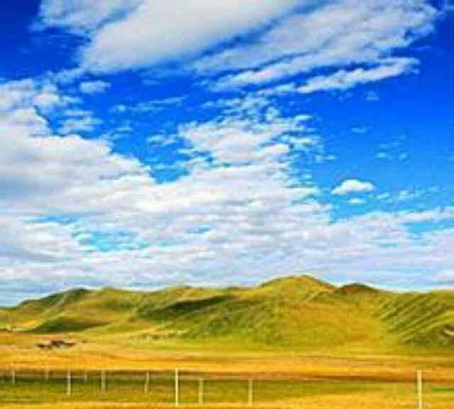 秋天的水果有哪些，秋天成熟的農作物有哪些？圖4