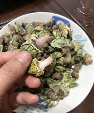 藤壺和佛手是一樣嗎,萬(wàn)能的網(wǎng)友知道這是什么海鮮