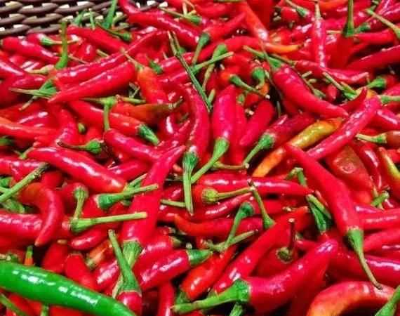 辣椒怎么曬干不變色，怎么曬干辣椒不變色？圖3