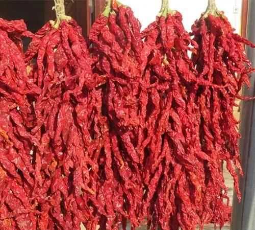 辣椒怎么曬干不變色，怎么曬干辣椒不變色？圖5