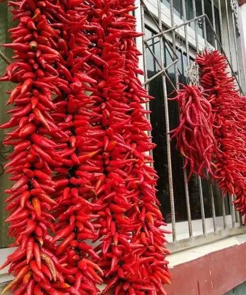 辣椒怎么曬干不變色，怎么曬干辣椒不變色？圖6