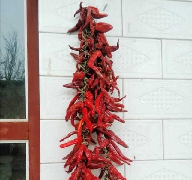 辣椒怎么曬干不變色，怎么曬干辣椒不變色？圖8