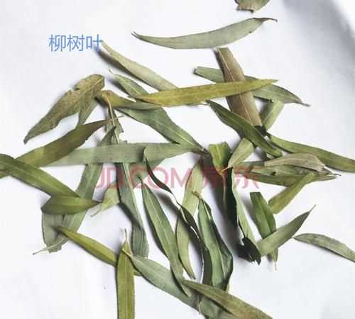 柳樹(shù)葉有毒嗎