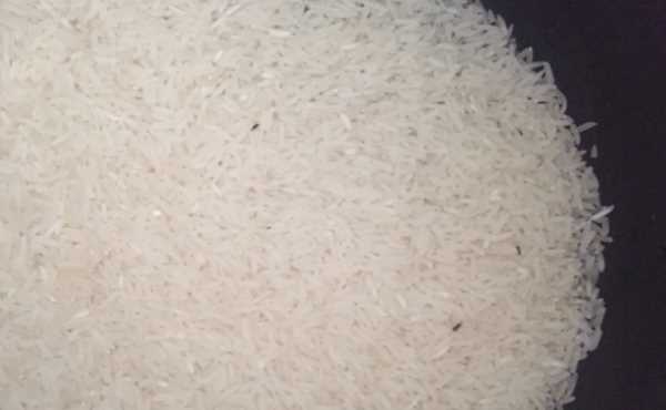 米里生黑蟲(chóng)子還能吃嗎,大米生了好多小黑蟲(chóng)還能吃圖2