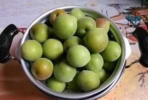 酸梅怎么腌制好吃,咸酸梅的腌制方法圖6