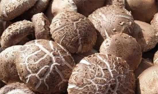 干香菇之類(lèi)的過(guò)了保質(zhì)期還能吃嗎