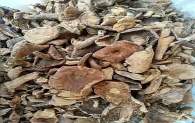 干香菇過(guò)期了能吃不