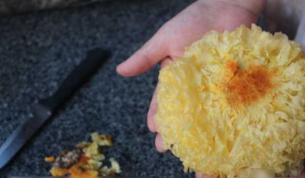 雪耳要浸泡多長(cháng)時(shí)間,銀耳熬之前要泡多長(cháng)時(shí)間圖5