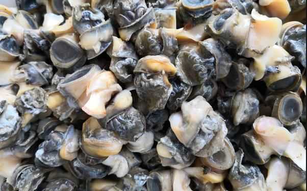 螺絲肉的功效與作用，螺絲肉怎么炒好吃？圖1