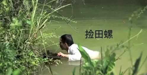 螺絲肉的功效與作用，螺絲肉怎么炒好吃？圖4