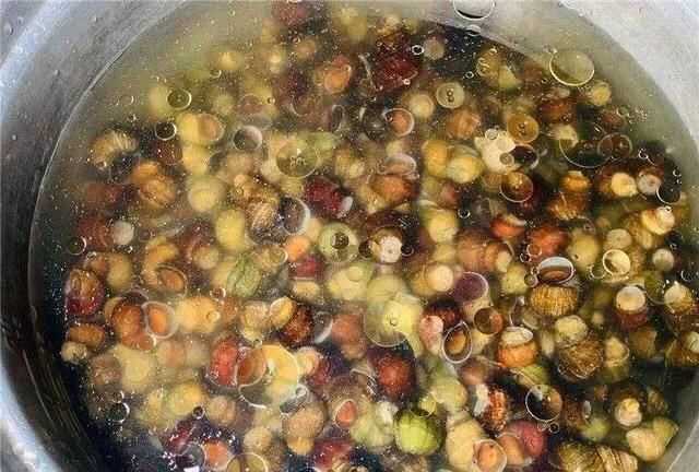 螺絲肉的功效與作用，螺絲肉怎么炒好吃？圖5