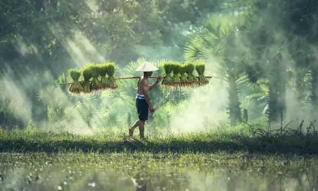 谷雨是下雨好還是不下雨好，農村俗語(yǔ)：“雨水落雨三大碗，大河小河都要滿(mǎn)”，雨水下雨好不好？圖6