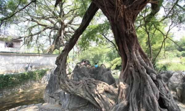 廣西黃姚古鎮在哪里,賀州到黃姚古鎮怎么坐車(chē)圖3