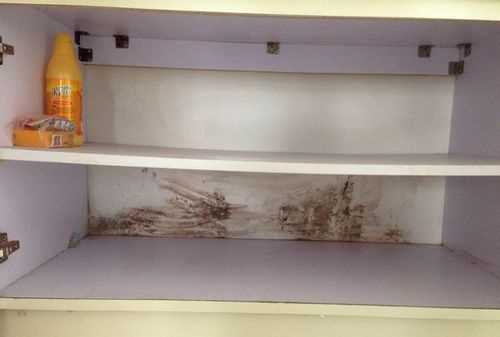 衣服放在宿舍柜子里會(huì )發(fā)霉嗎