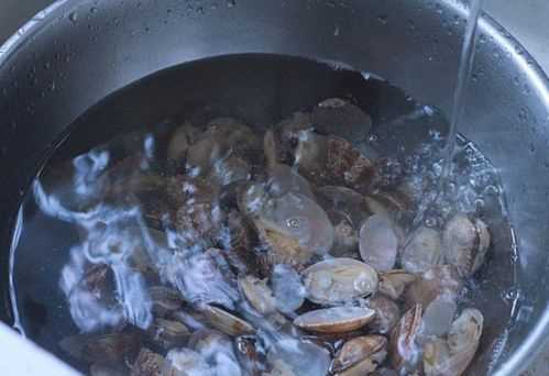 買(mǎi)回來(lái)的蛤蜊不張嘴怎么吐泥沙?