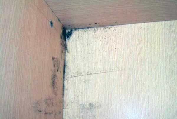 衣柜里面衣服放太少了 會(huì )不會(huì )讓衣服發(fā)霉了