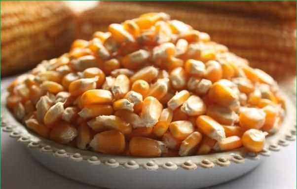 吃玉米助消化嗎