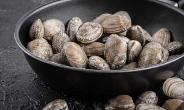 蛤蜊放鹽水里不張嘴,買(mǎi)回來(lái)的蛤蜊不張嘴怎么吐泥沙?圖2