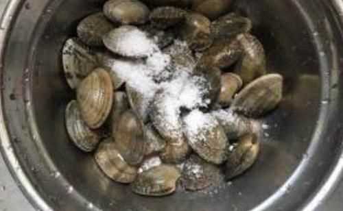 買(mǎi)回家的花甲 放鹽水里一個(gè)多小時(shí)了還能吃嗎