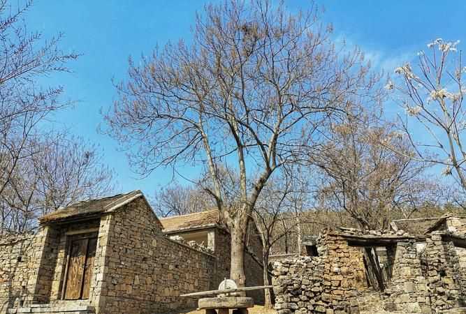 山東菏澤屬于沂蒙山區嗎