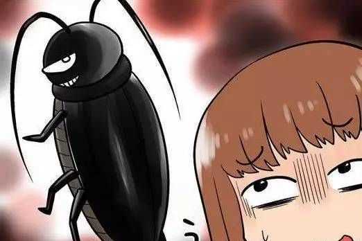 燈光會(huì )吸引會(huì )飛蟑螂,開(kāi)燈睡覺(jué)會(huì )不會(huì )有蟑螂