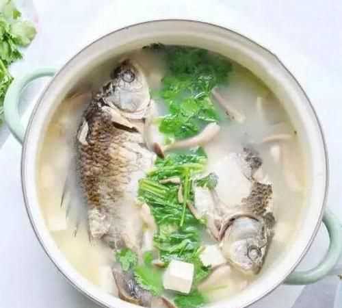 鯽魚(yú)湯可以不放鹽放糖喝嗎