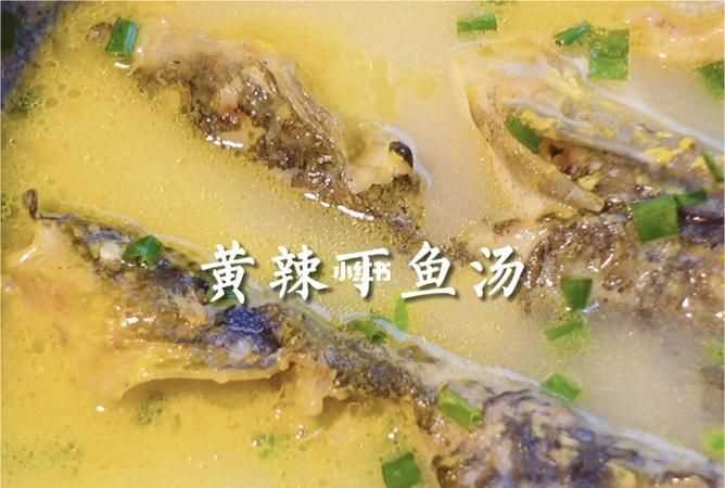 黃顙魚(yú)的功效與作用、禁忌和食用方法