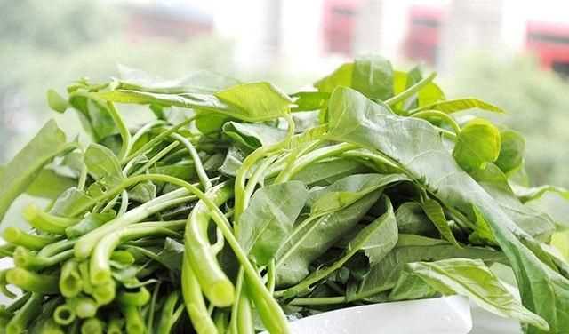 吃空心菜要注意什么，聽(tīng)人說(shuō)空心菜吃多了不好,為什么？圖1