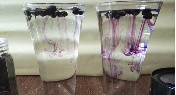 黑杞子泡水是什么顏色才是正貨,真正的黑枸杞泡出來(lái)的水顏色是什么顏色呢圖3