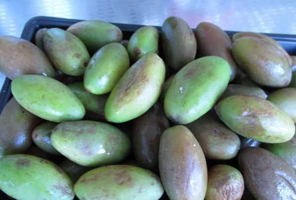 金香欖可以直接吃,生橄欖嚼著(zhù)吃致癌 能不能直接嚼著(zhù)吃生橄欖呢圖2