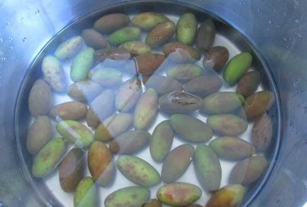 金香欖可以直接吃,生橄欖嚼著(zhù)吃致癌 能不能直接嚼著(zhù)吃生橄欖呢圖3