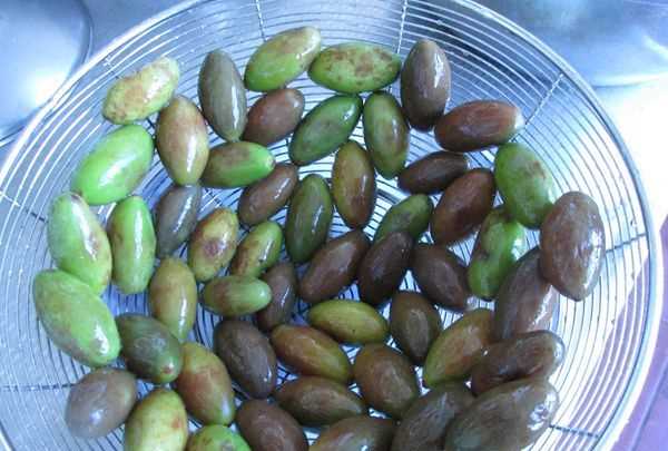 金香欖可以直接吃,生橄欖嚼著(zhù)吃致癌 能不能直接嚼著(zhù)吃生橄欖呢圖4