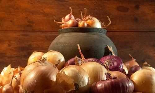 ，洋蔥能除甲醛嗎