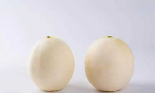 白蘭瓜是水果還是蔬菜,白蘭瓜是水果還是蔬菜類(lèi)圖2