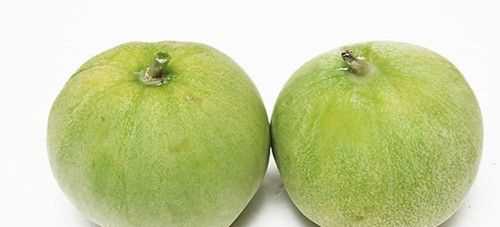 西瓜南瓜哈密瓜木瓜梨瓜哪個(gè)不同類(lèi)