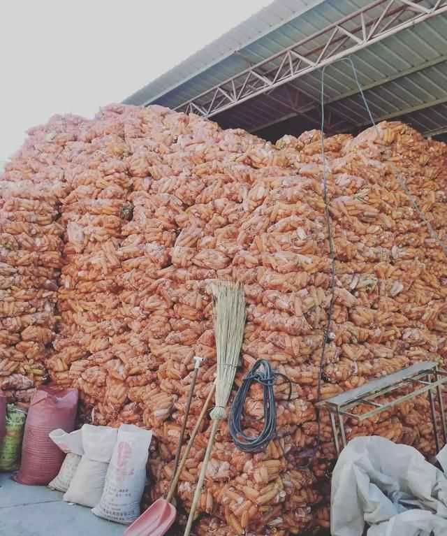 四個(gè)現代化是指哪四個(gè)，四個(gè)觀(guān)代化指哪四項？圖2