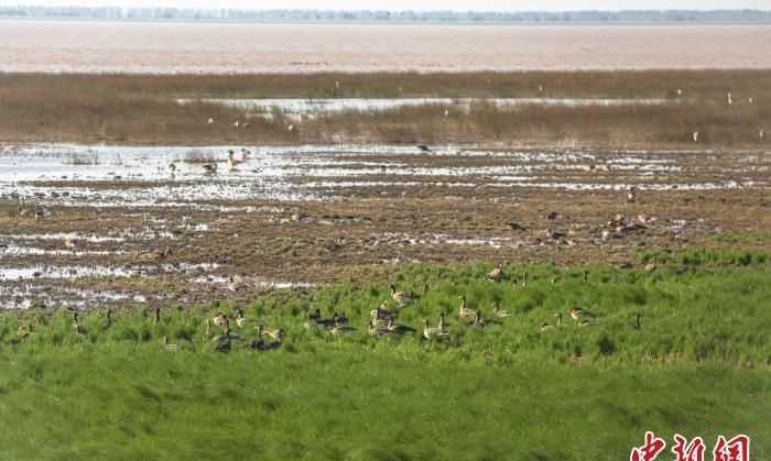 我國最大的淡水湖是