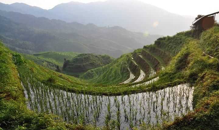 什么是開(kāi)龍脊梗