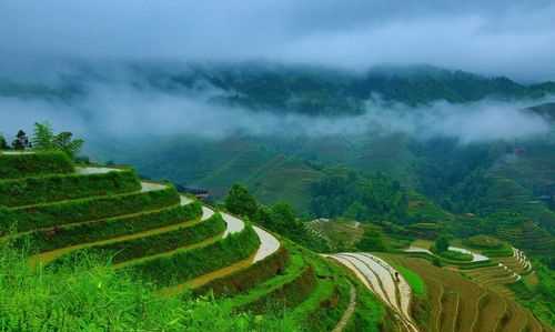 開(kāi)龍脊是什么意思