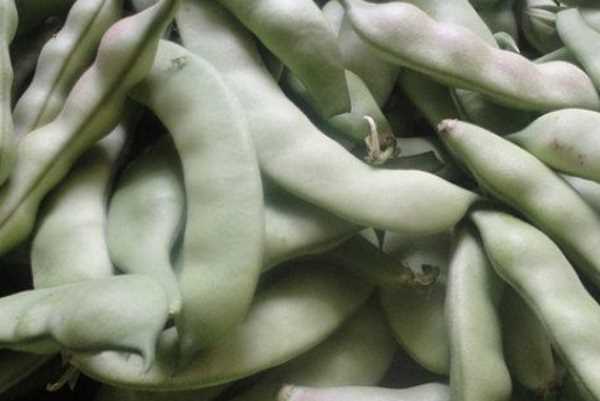 豆角怎樣凍才能保持綠色好吃,油豆角怎么凍速凍才好吃圖7