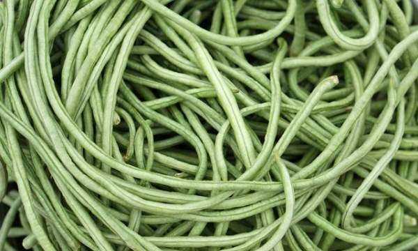 豆角怎樣凍才能保持綠色好吃,油豆角怎么凍速凍才好吃圖15