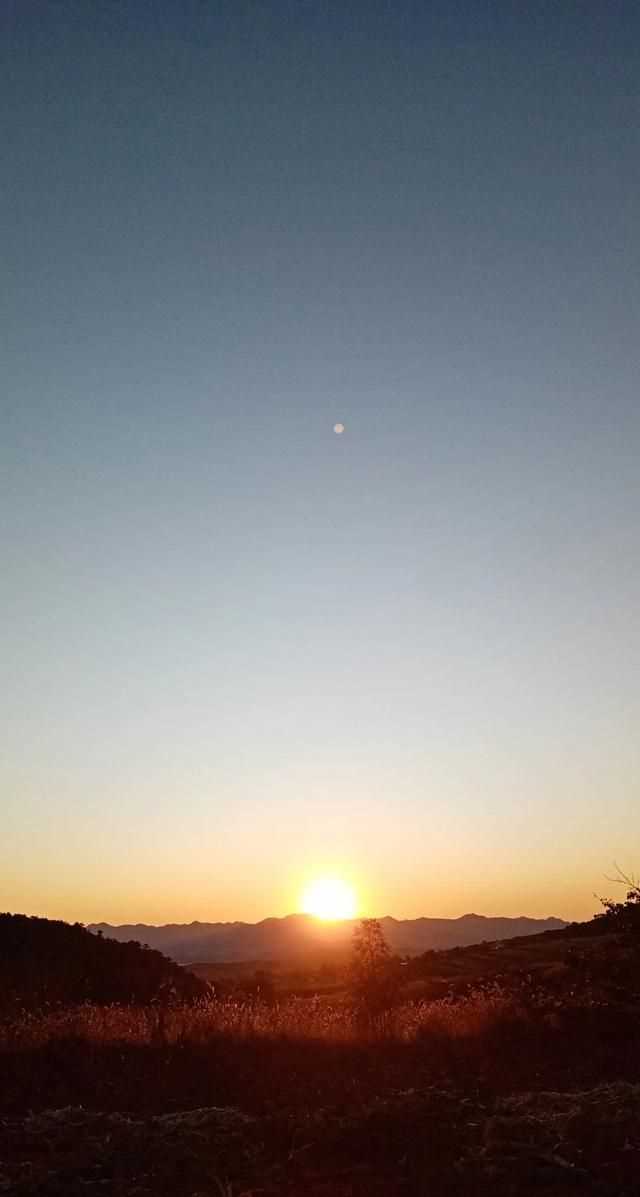 文化產(chǎn)品有哪些，黎族文化產(chǎn)品有哪些？圖4