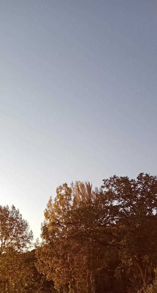 文化產(chǎn)品有哪些，黎族文化產(chǎn)品有哪些？圖5