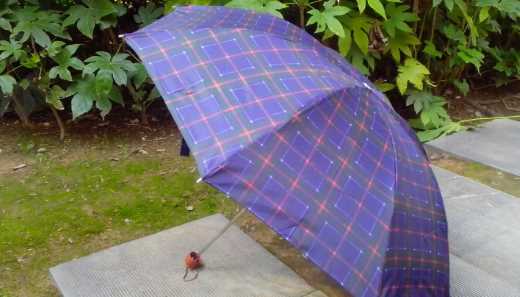 傘有哪些,傘有哪幾種類(lèi)型圖2